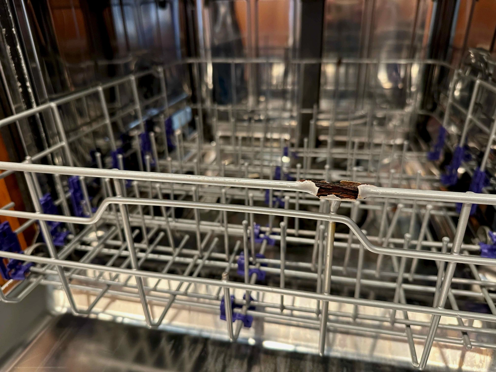 To Repair or Replace Your Rusted Dishwasher Rack: Which Is Better?